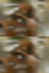 Nude woman Redding