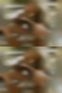 Sexy San Diego milfs swinger!